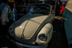 VW-DAy-5-Low-Res-29