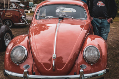 VW-DAy-7-Low-Res-12