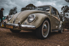 VW-DAy-7-Low-Res-16