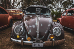 VW-DAy-7-Low-Res-19