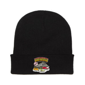 2021 VWS Beanie